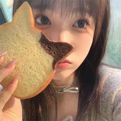 狮子王们的夏天